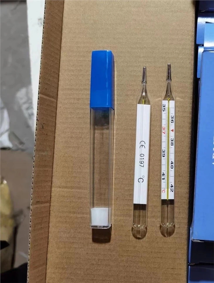 Mercury Thermometer For Sale